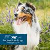 Wondercide – Flea & Tick Dog Spot On – Flea, Tick, and Mosquito Repellent, Prevention for Dogs with Natural Essential Oils – Up to 3 Months Protection – Medium 3 Tubes of 0.10 oz(Medium Dog)
