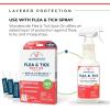 Wondercide – Flea & Tick Dog Spot On – Flea, Tick, and Mosquito Repellent, Prevention for Dogs with Natural Essential Oils – Up to 3 Months Protection – Medium 3 Tubes of 0.10 oz(Large Dog)